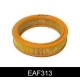 EAF313