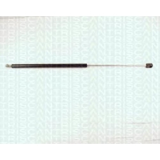 8710 17203 TRIDON Gas spring rear