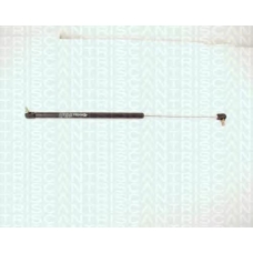 8710 14205 TRIDON Gas spring rear