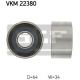 VKM 22380