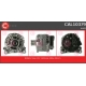 CAL10379