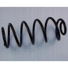 8750 2730 TRIDON Coil spring rear