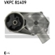 VKPC 81409