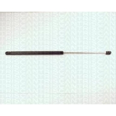 8710 29211 TRIDON Gas spring rear