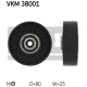 VKM 38001