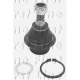 FBJ5619