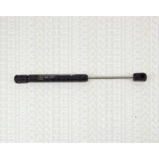 8710 15205 TRIDON Gas spring rear