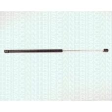 8710 16204 TRIDON Gas spring rear