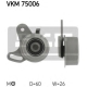 VKM 75006