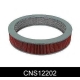 CNS12202