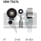 VKM 75676