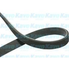 DMV-9025 KAVO PARTS Поликлиновой ремень