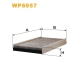 WP6957
