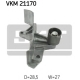 VKM 21170