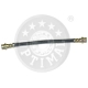 BSL-742