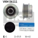 VKM 06111