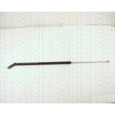 8710 11205 TRIDON Gas spring rear
