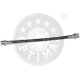 BSL-1038