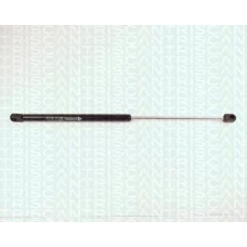 8710 29207 TRIDON Gas spring rear