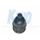 SBJ-4007