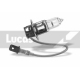 LLB453