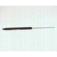 8710 2703 TRIDON Gas spring rear