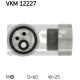 VKM 12227