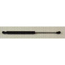 8710 27211 TRIDON Gas spring rear