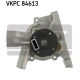 VKPC 84613