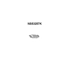 NS53257K VENEPORTE Катализатор