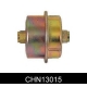 CHN13015