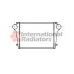28004004 VAN WEZEL Интеркулер