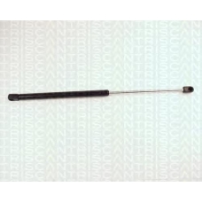 8710 65205 TRIDON Gas spring rear