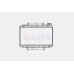 070260N DASIS 