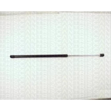 8710 11215 TRIDON Gas spring rear