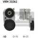 VKM 31061