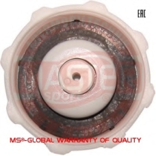 8200048024-PCS-MS MASTER-SPORT Крышка, радиатор