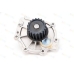 D1V014TT THERMOTEC Водяной насос