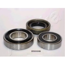 44-25006 Ashika Комплект подшипника ступицы колеса