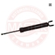 314007-PCS-MS