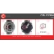CAL15366