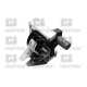 XIC8107