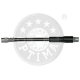 BSL-342