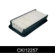CKI12257
