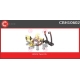 CBH10602
