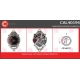 CAL40194