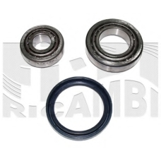 RC1811 CALIBER Комплект подшипника ступицы колеса