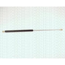 8710 2715 TRIDON Gas spring rear