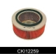 CKI12259