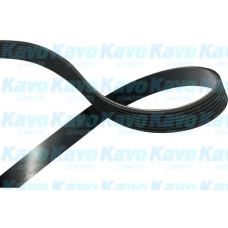 DMV-9041 KAVO PARTS Поликлиновой ремень